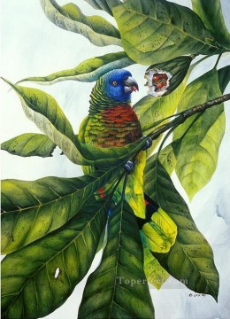  vögel - Papagei und Obst Vögel